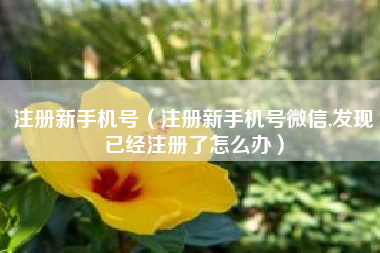 注册新手机号(注册新手机号微信,发现已经注册了怎么办)